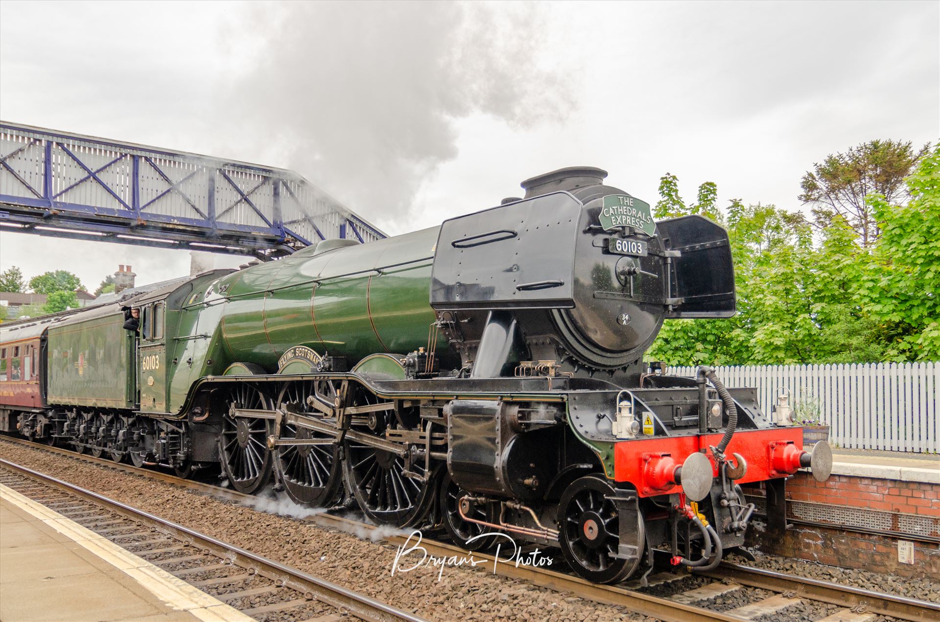 The Scotsman at North Queensferry A photograph of the Flying Scotsman passing through North Queens ferry as it heads back to Edinburgh via the Forth Rail Bridge by Bryans Photos