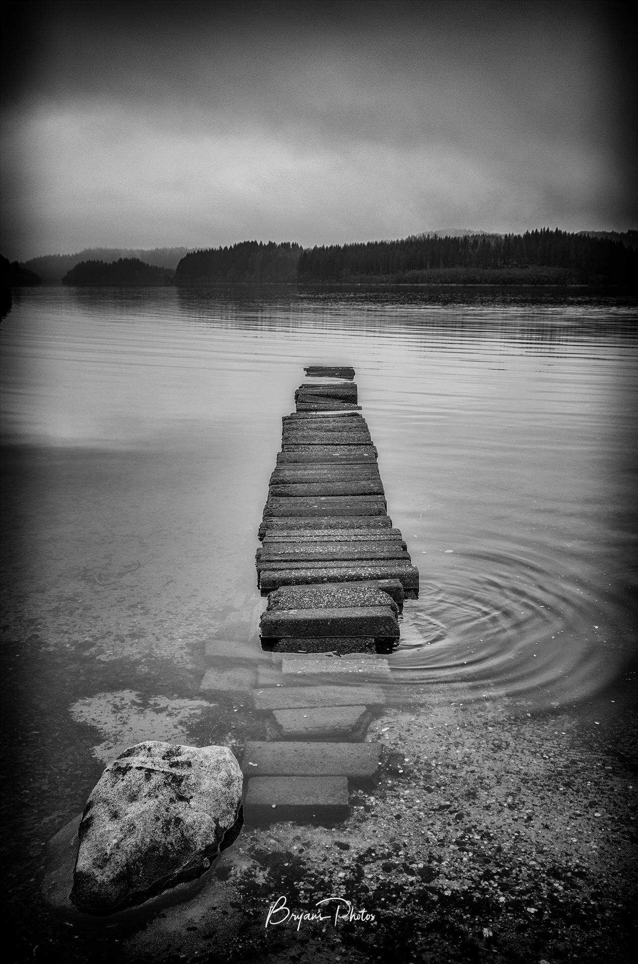 Loch Ard Portrait A black and white photograph of an old jetty at Loch Ard taken from Kinlochard. by Bryans Photos