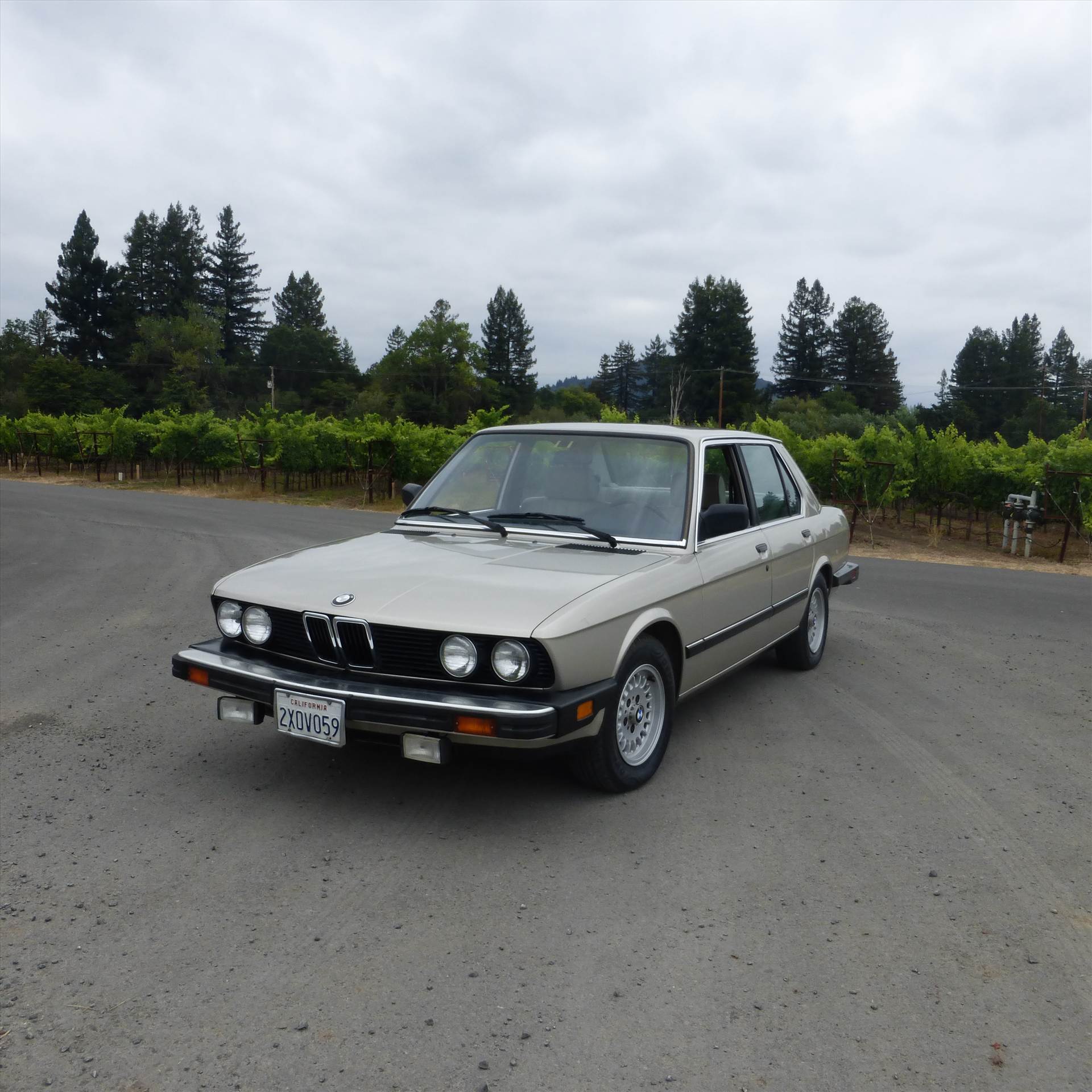 528e Front by Mike789