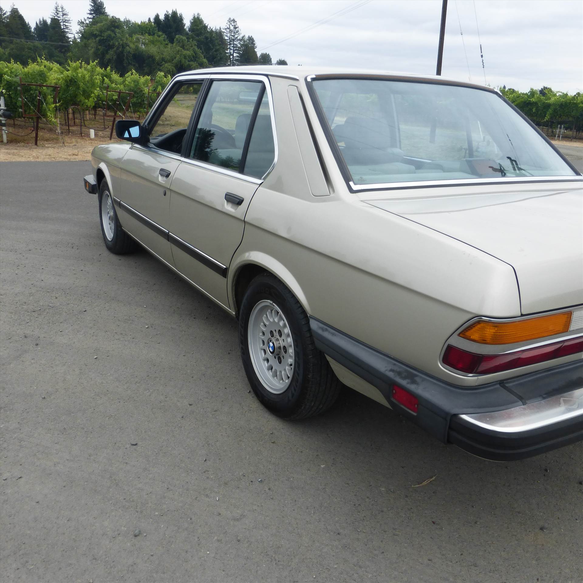 528e side by Mike789