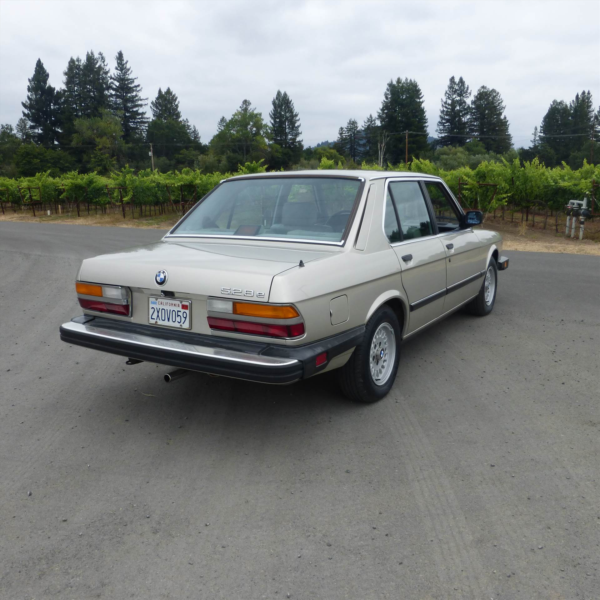 528e Back by Mike789