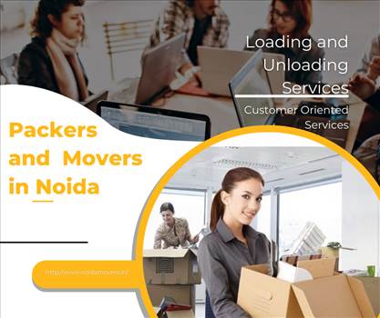 Packers and Movers in Noida.png by noidapackers