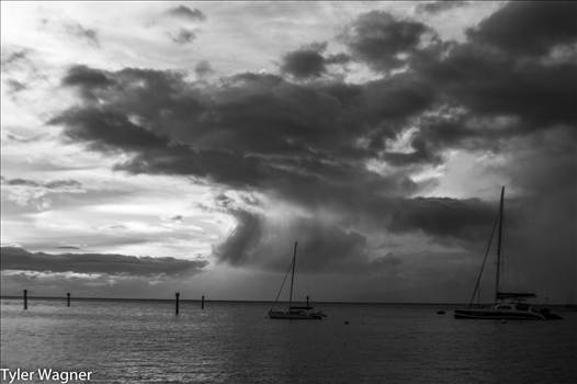 DSC_2305.jpg - undefined