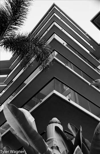 DSC_2871.jpg - undefined