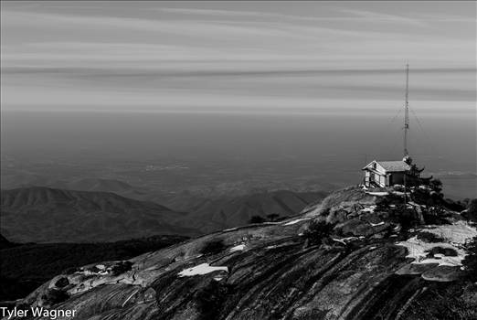 DSC_3926.jpg - undefined