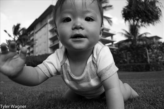 DSC_2825.jpg - undefined