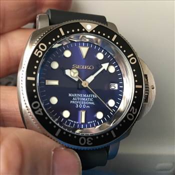 seiko pam build by johntorcasio