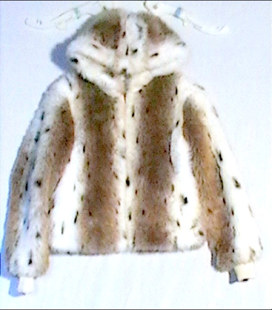 Rabbit coat1.JPG  by BudgetGeneral