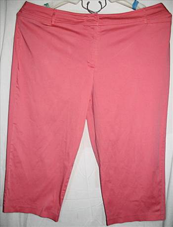 Shorts 22W Cotton_Polyester.jpg - 