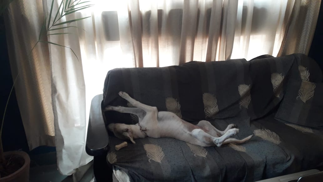 Gracey4.jpg  by Jim Wilson