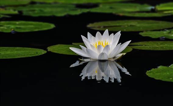 image.jpeg - undefined