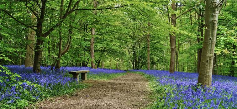 image.jpeg - undefined