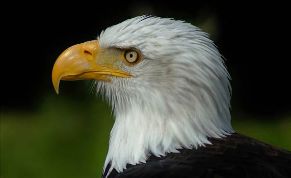 Feb_edited.jpg - undefined