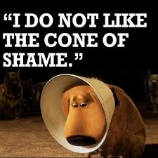 cone of shame.jpg  by Buzby061