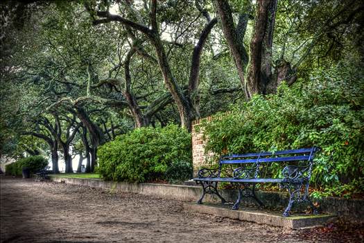White Point Gardens Bench.jpg by jennyellenphotography