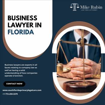 Business Lawyer in Florida.jpg by mikerubin