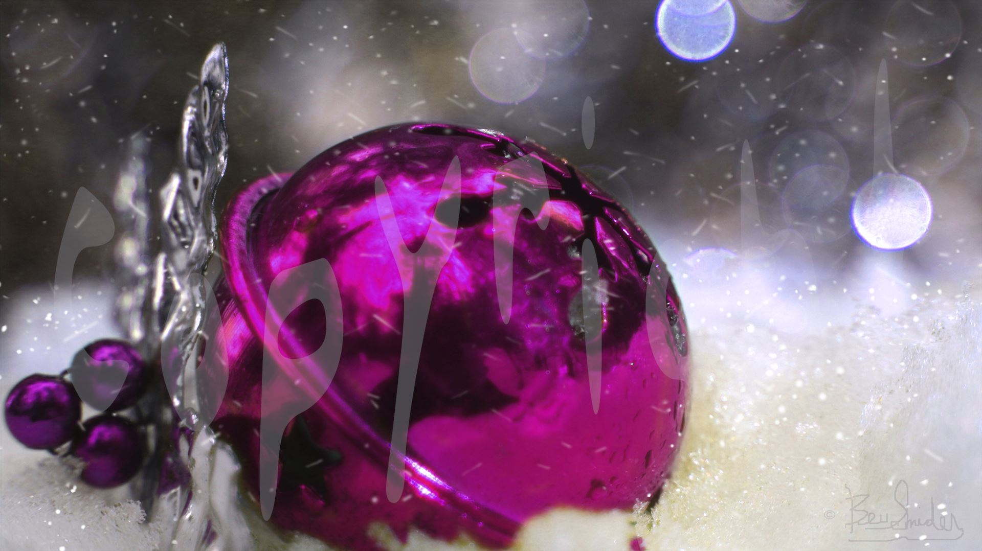 Fuschia Christmas Ball 6657 Fuschia Christmas Ball in the snow with bokeh background by Snookies Place of Wildlife and Nature
