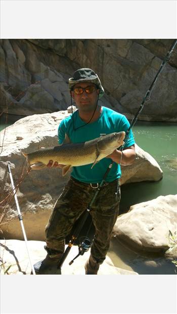 فرهاد - ركورد زردپر درسيروان