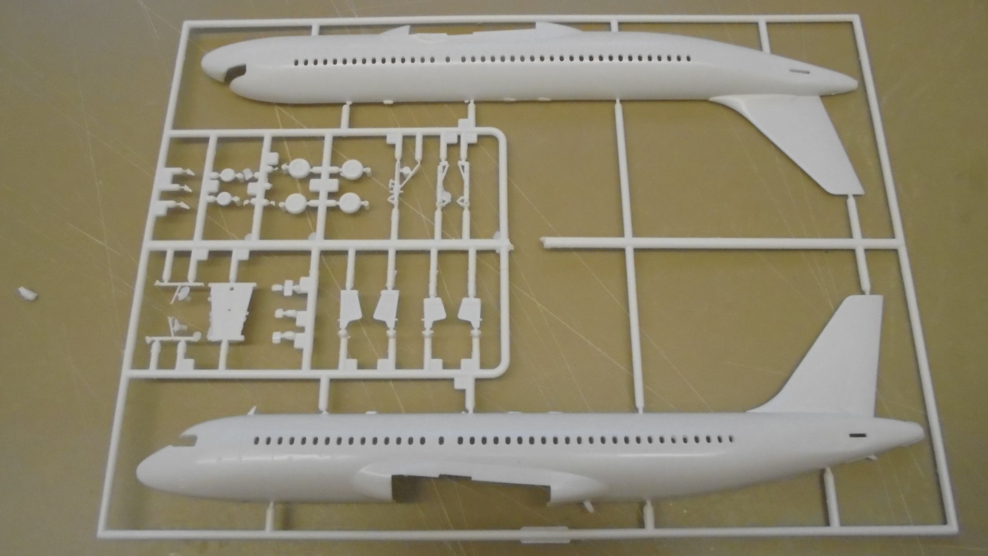 DSC01798.JPG  by Samuraiwarrior