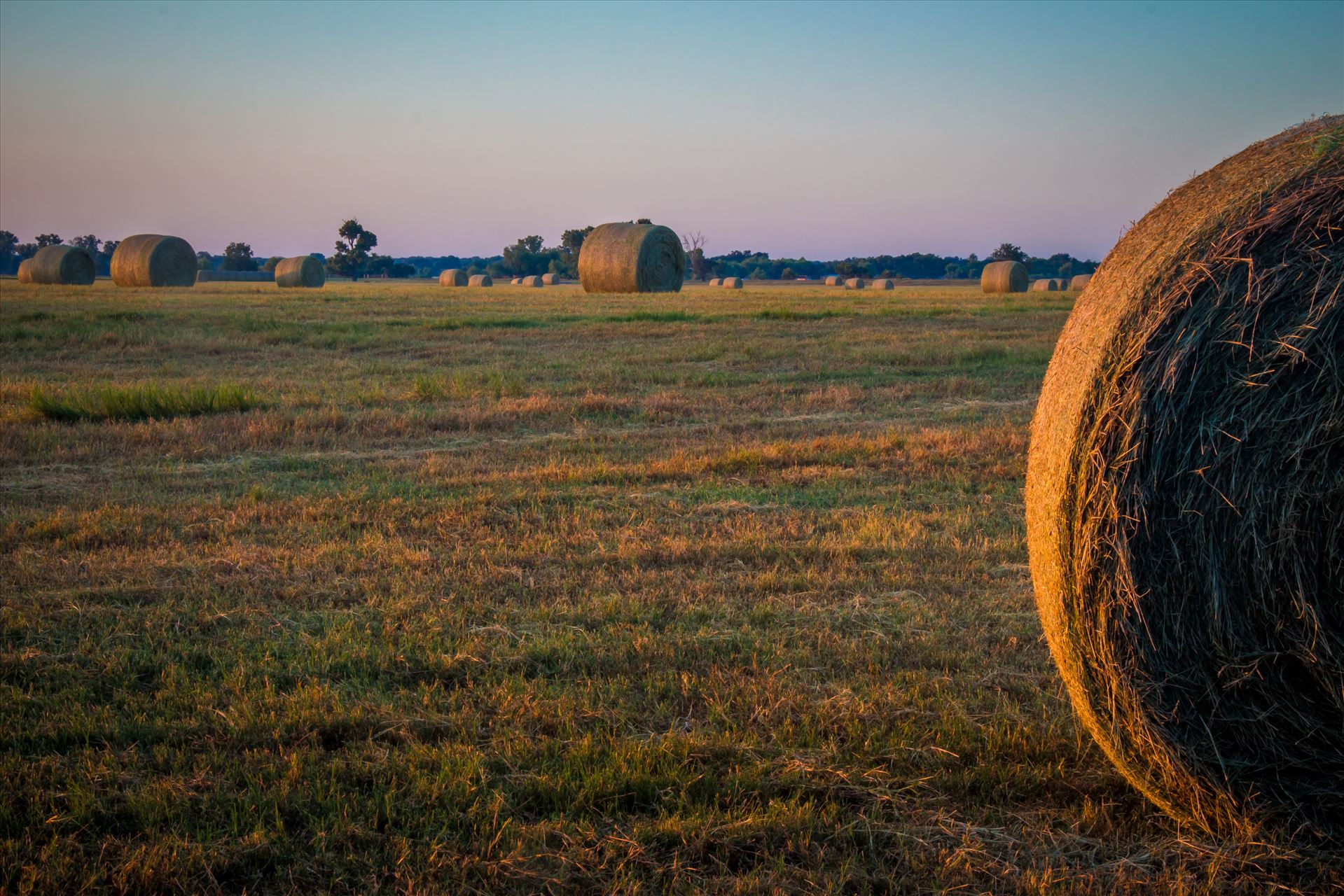 20170819_Hay Field_011.jpg  by Charles Smith Photography