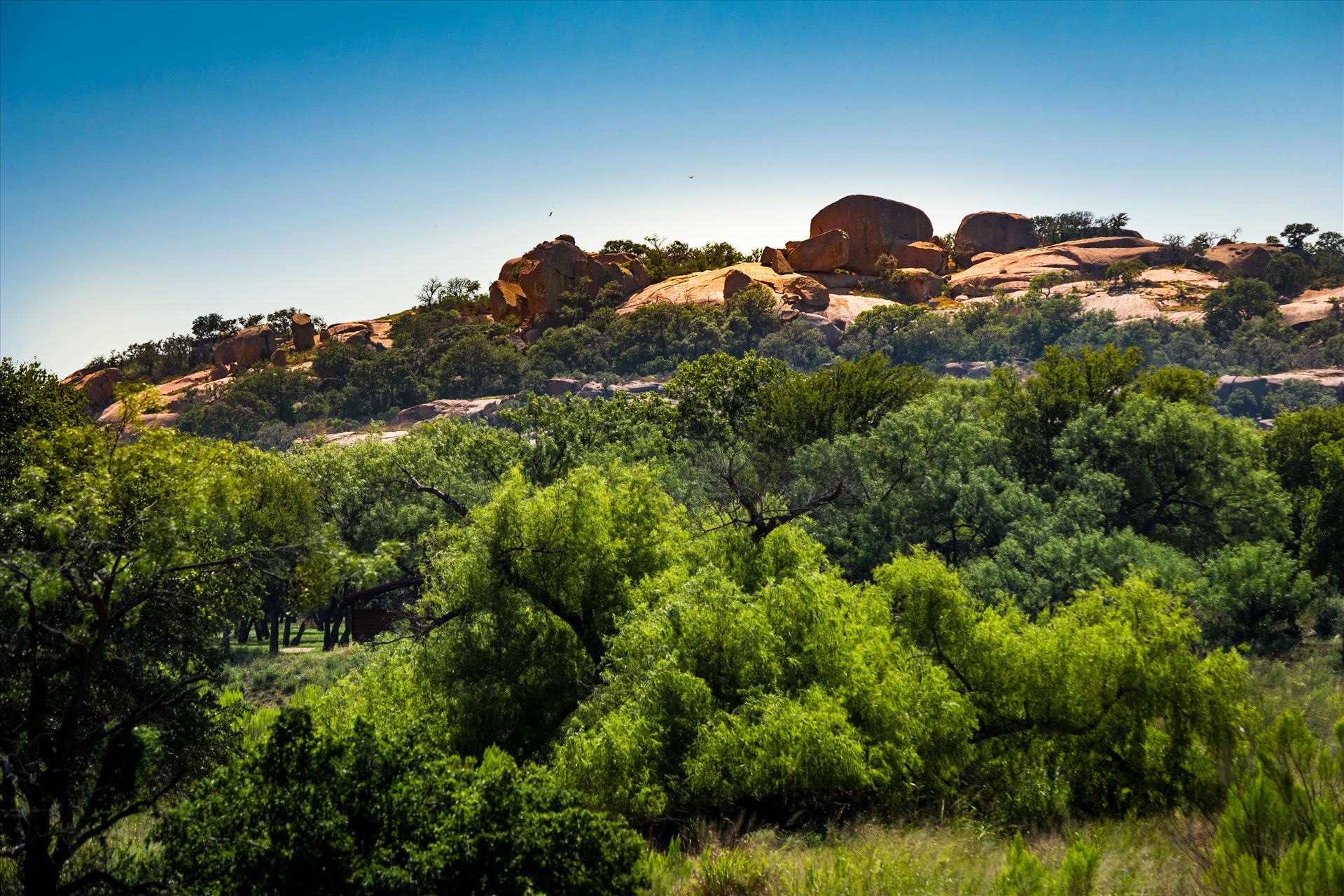20130723-Enchanted Rock-DSLR-002.jpg  by Charles Smith Photography