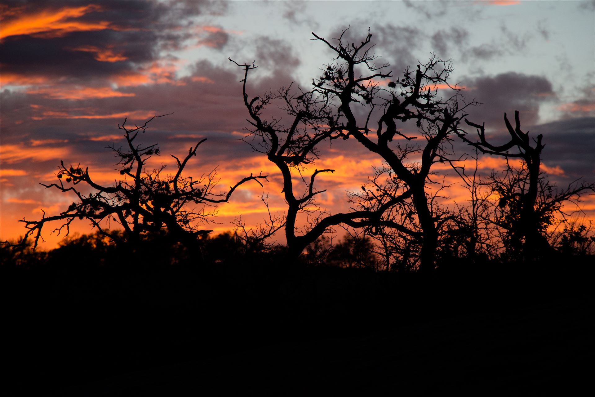 20140112-Enchanted Rock-DSLR-084.jpg  by Charles Smith Photography