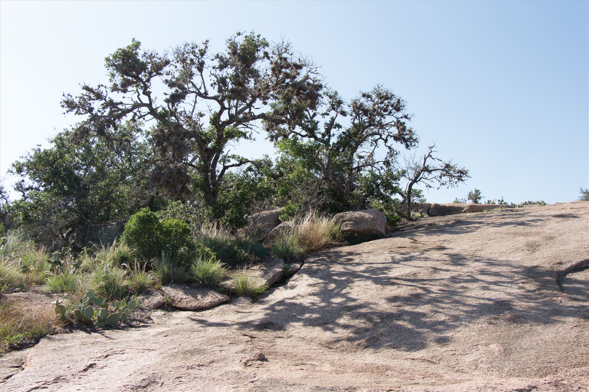 20130723-Enchanted Rock-DSLR-053.jpg  by Charles Smith Photography
