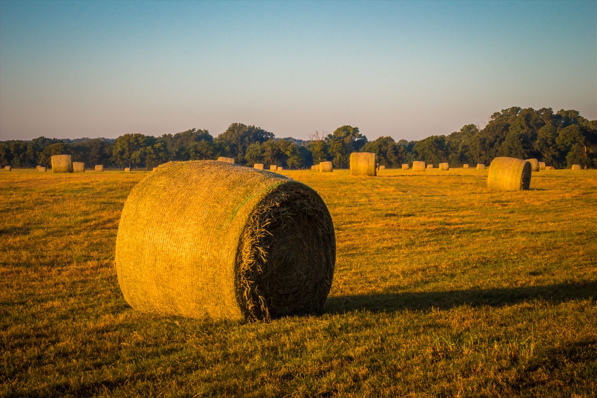 20170819_Hay Field_022.jpg  by Charles Smith Photography