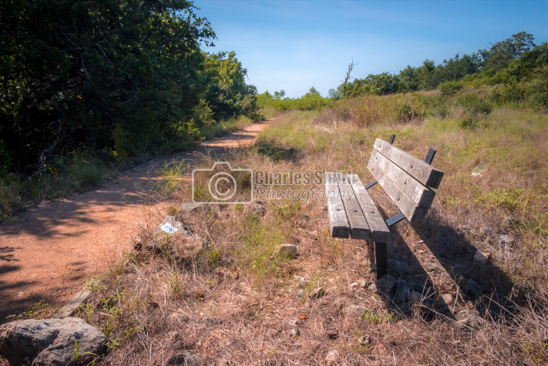 Blazing Bench  by Charles Smith Photography
