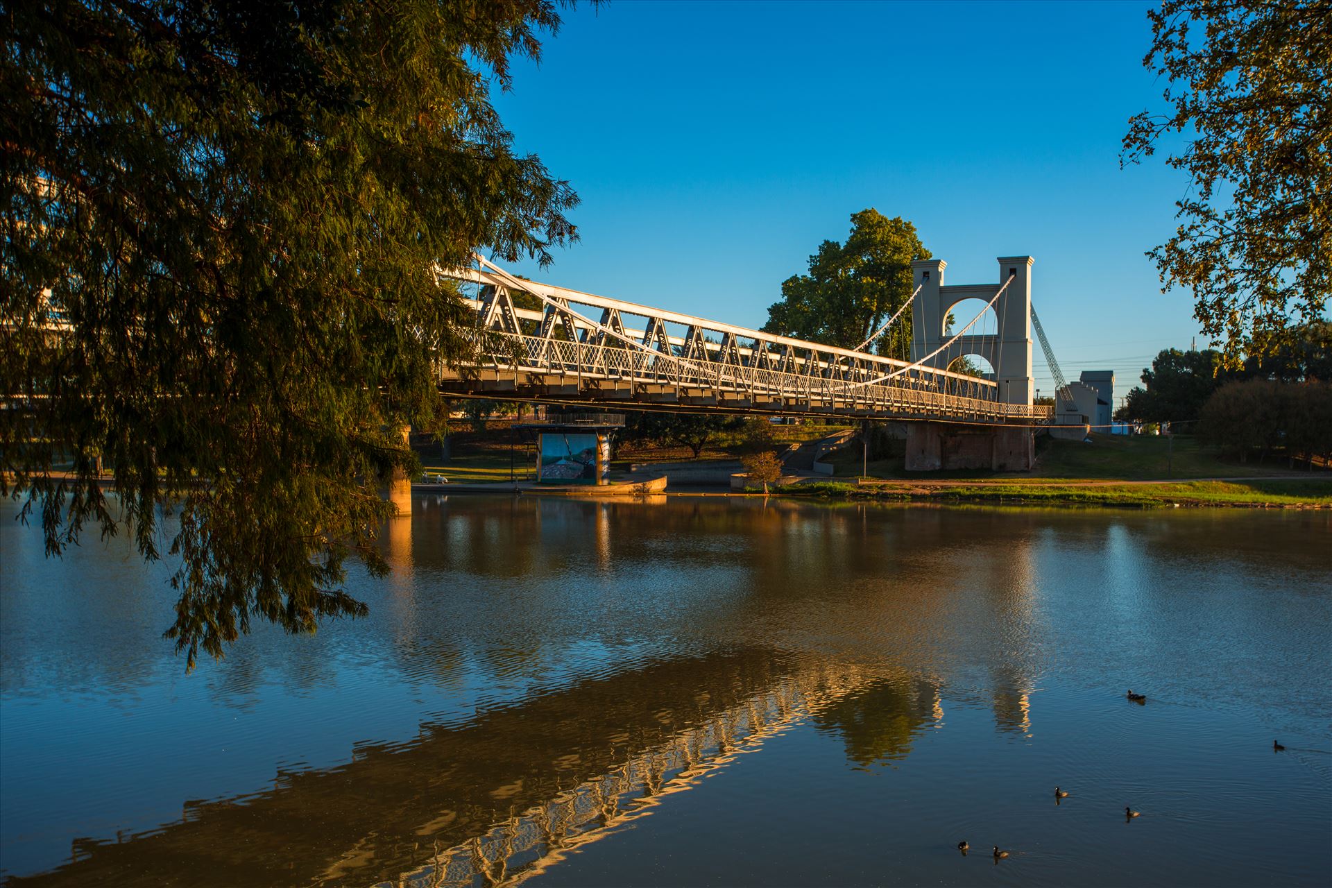 20171017_SuspensionBridge_038.jpg  by Charles Smith Photography