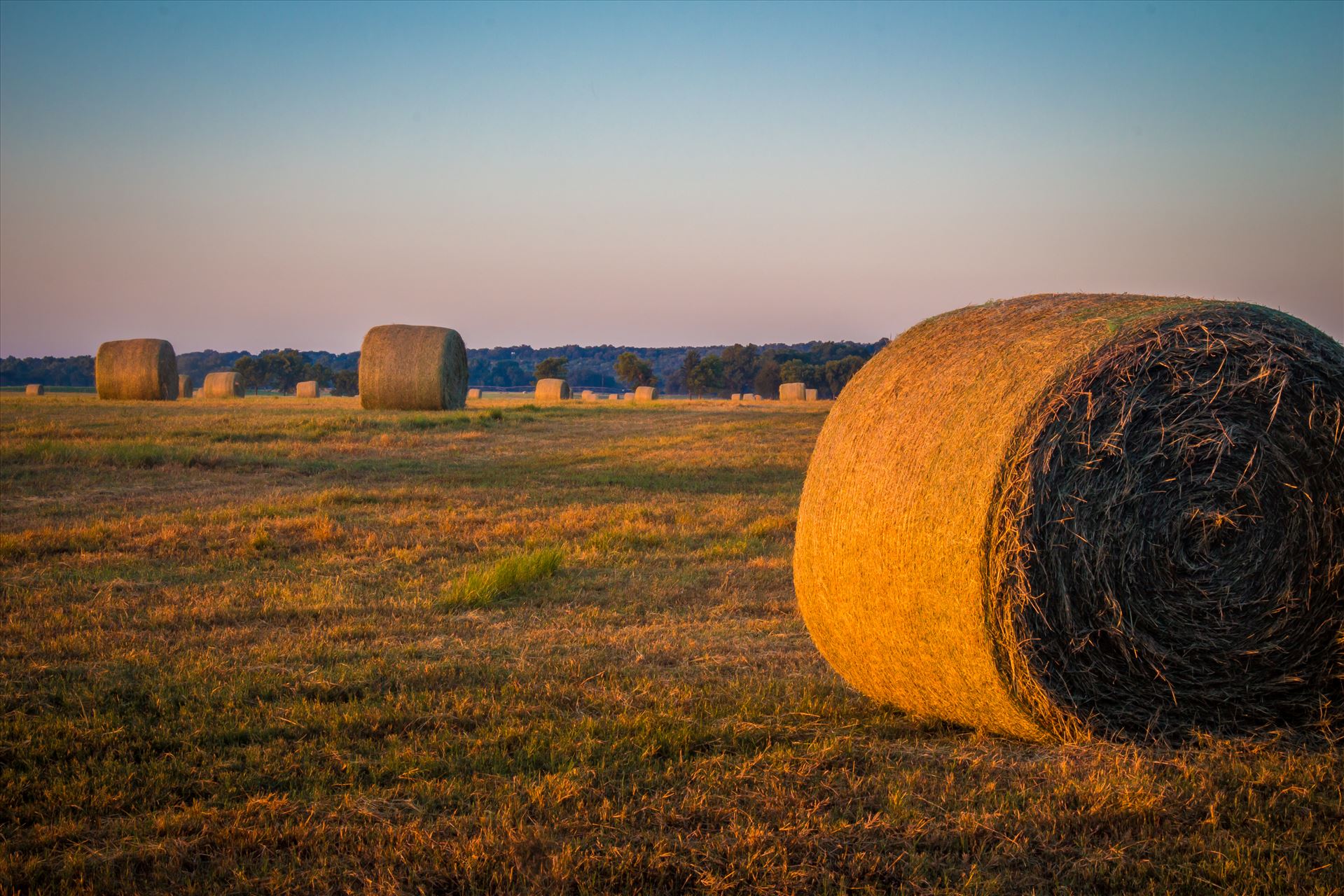 20170819_Hay Field_012.jpg  by Charles Smith Photography