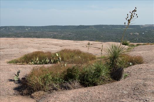 20130723-Enchanted Rock-DSLR-032.jpg by Charles Smith Photography
