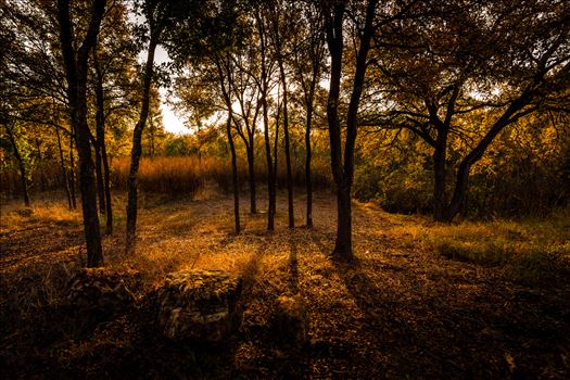 20171104_PepperCreek_016.jpg by Charles Smith Photography