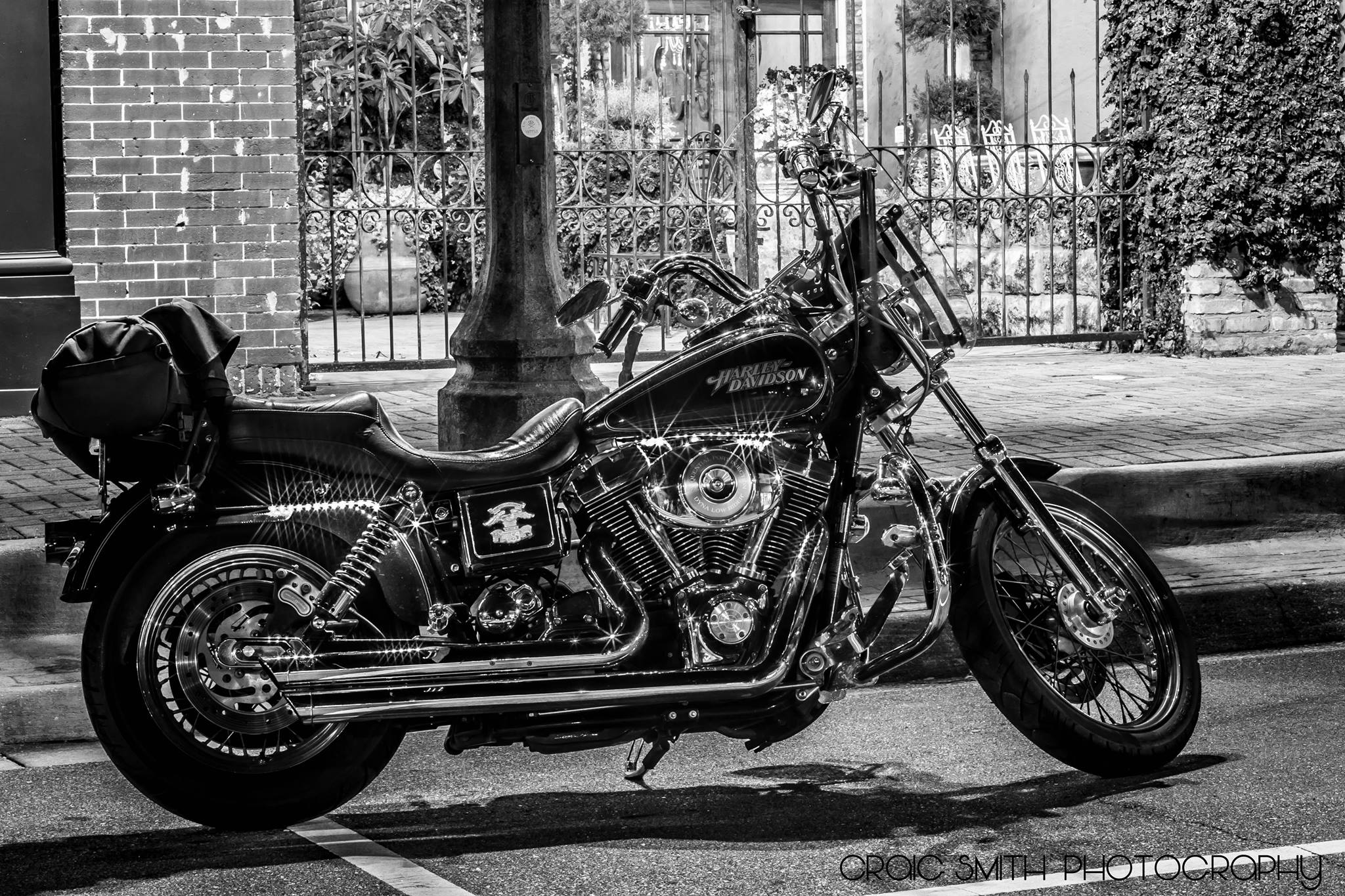 Harley  by Craig Smith