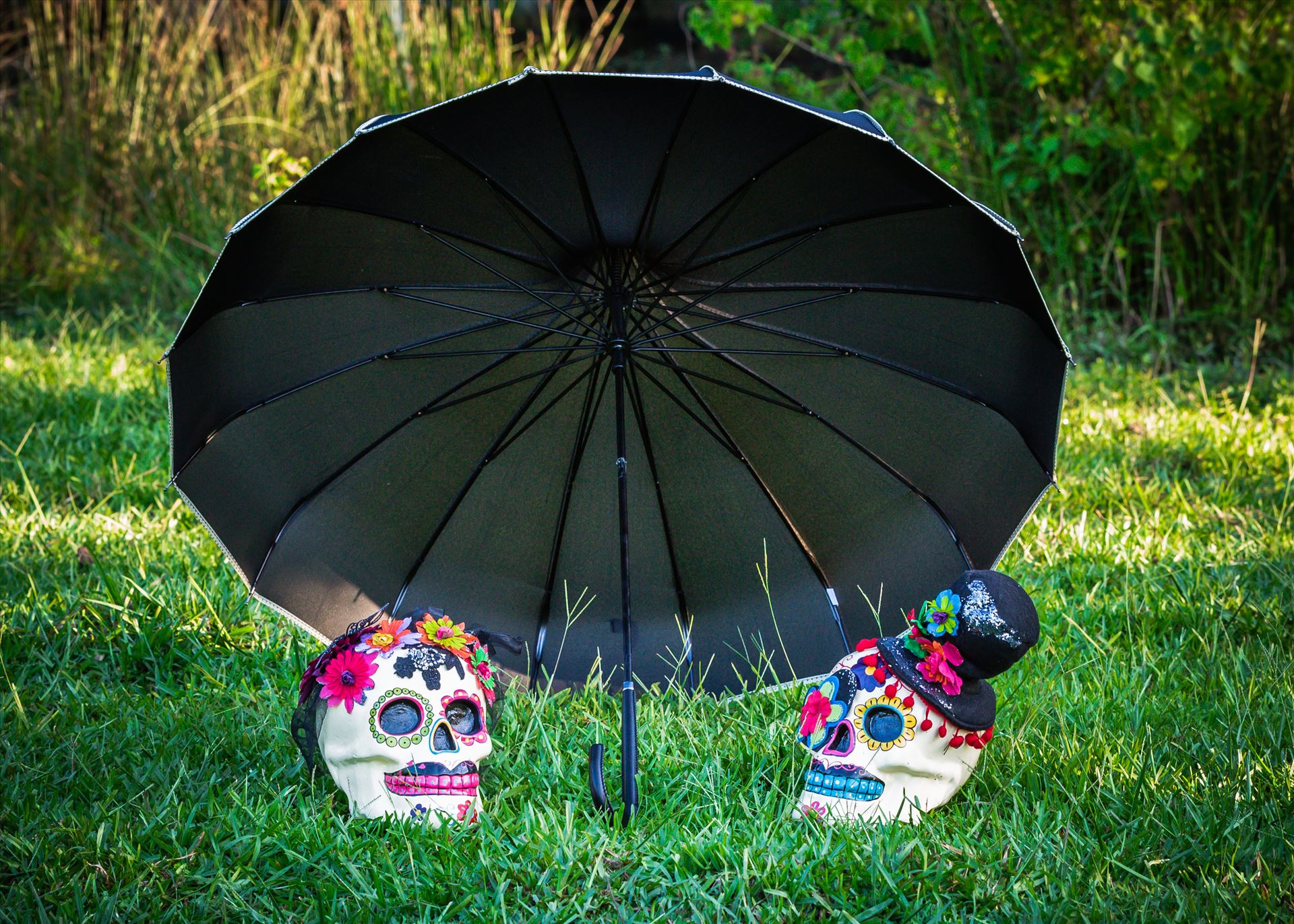 "Day of the Dead"  by Craig Smith