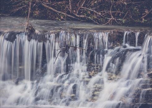 Cooheelee Creek by Craig Smith