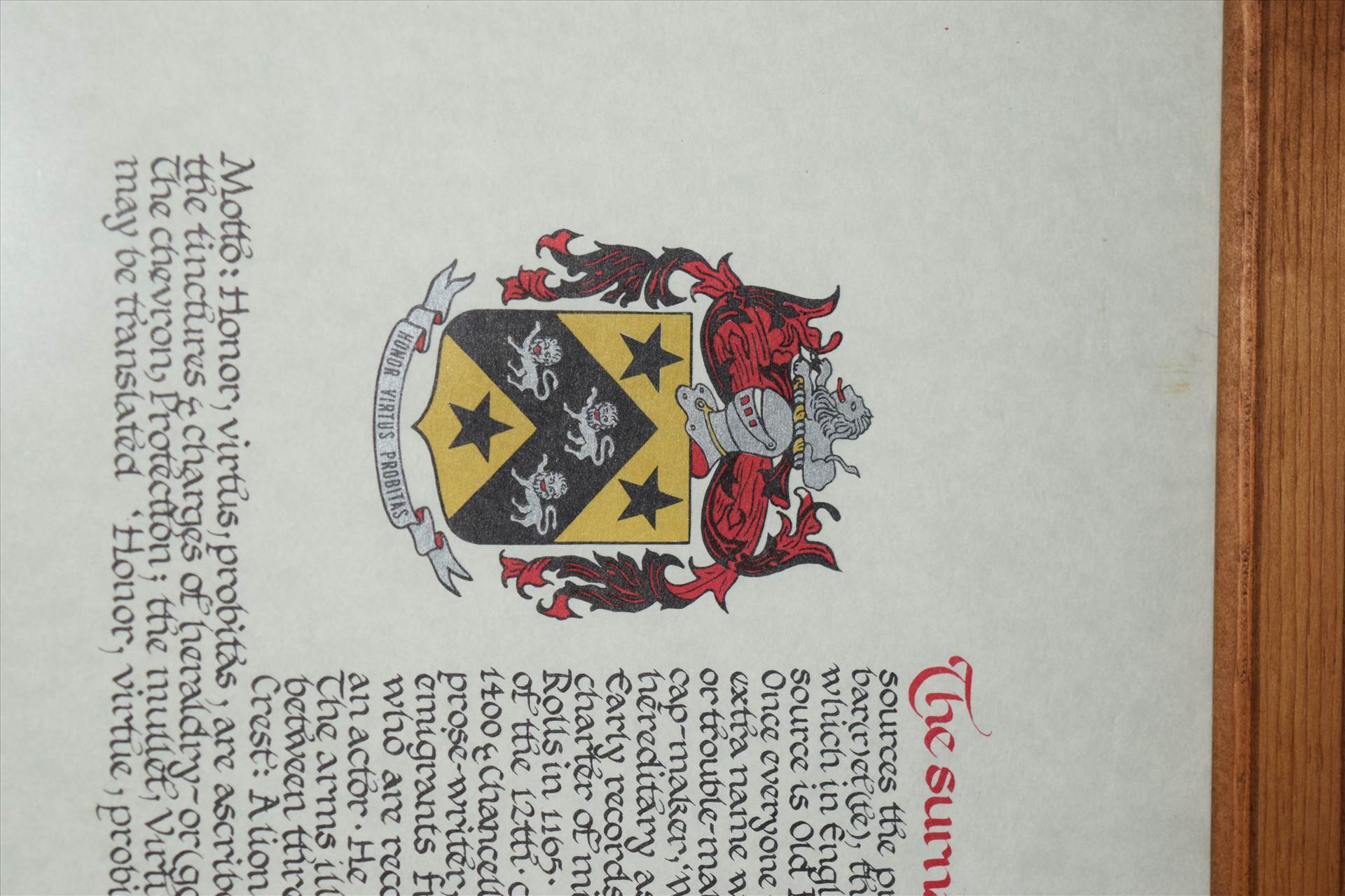 DSC_0067.JPG  by theribeda