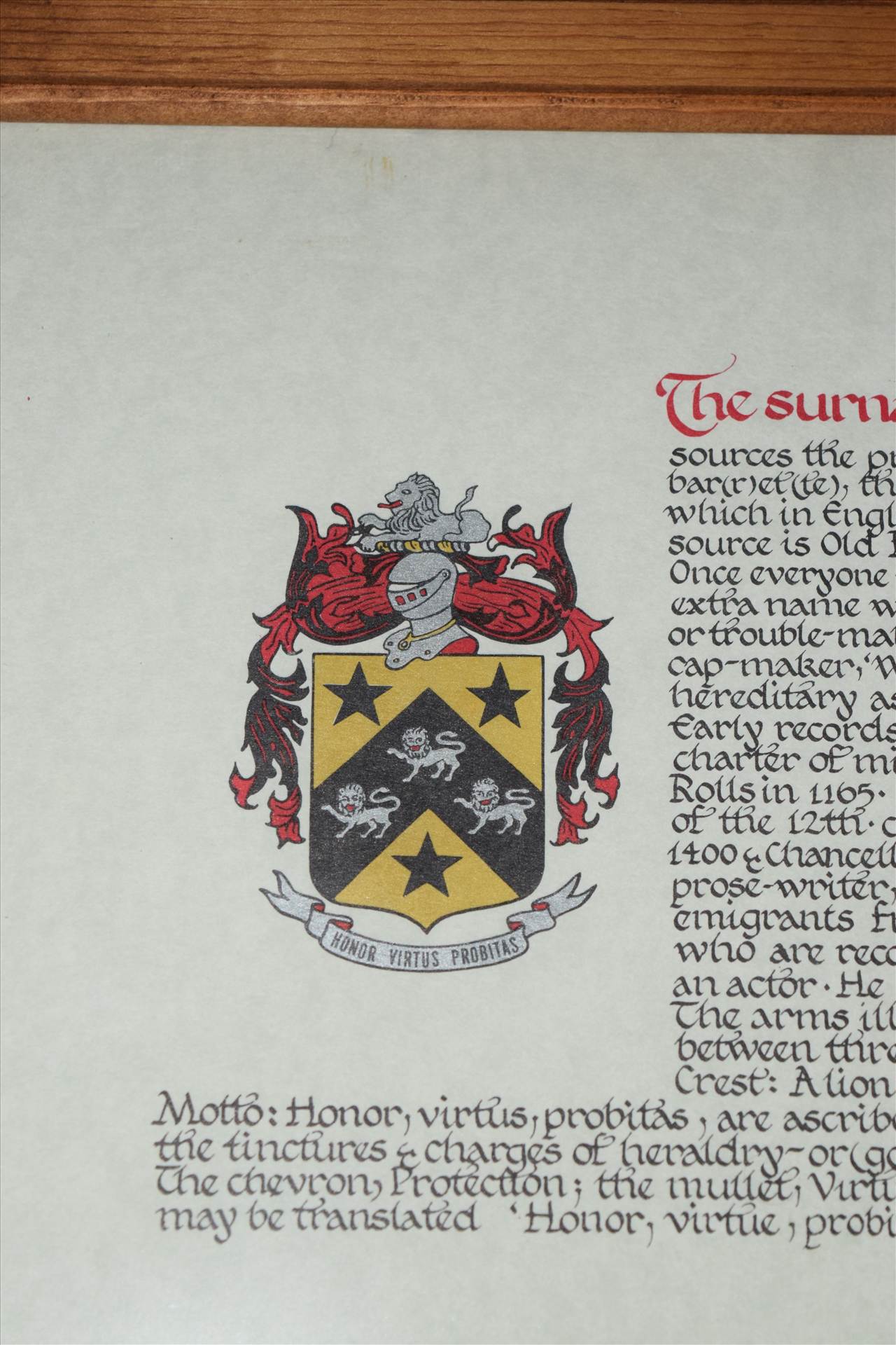 DSC_0067.JPG  by theribeda