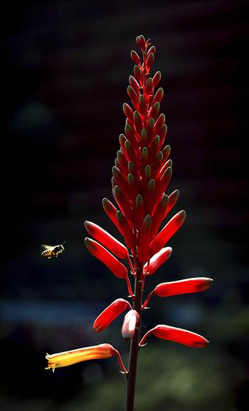 Before Touchdown.jpg - undefined