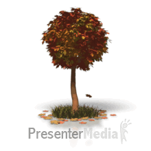 fall_tree_leaves_md_wm.gif  by DianneD1