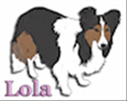 Sheltie-Lola 90pix.gif - 