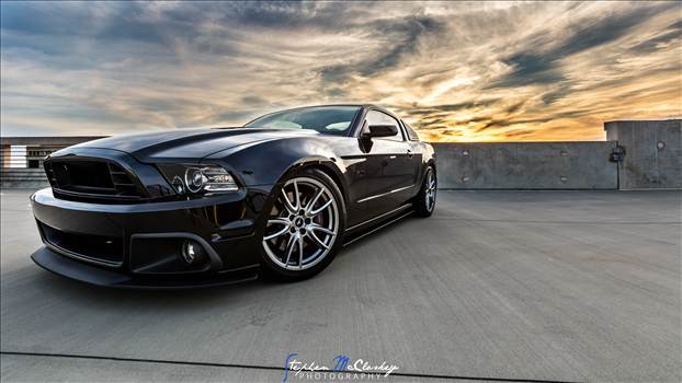 114A0955-HDR.jpg - undefined