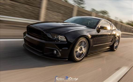 998A0876-Blur.jpg - undefined