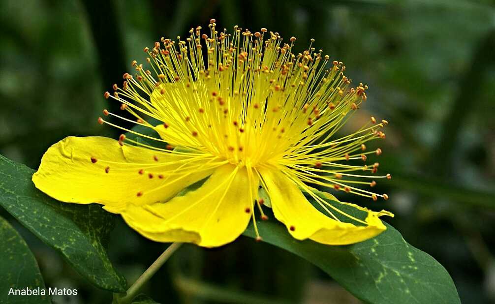 2015-12-02-21-28-10.jpg undefined by WPC-260