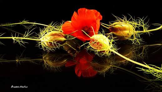 2015-11-20-23-51-23.jpg undefined by WPC-260