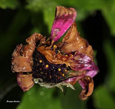 2015-11-19-12-28-07.jpg - undefined