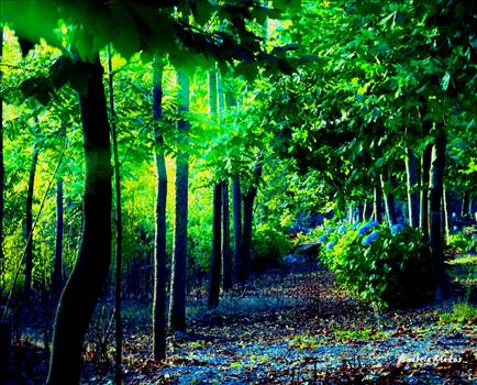 _20150824_114714.JPG - 