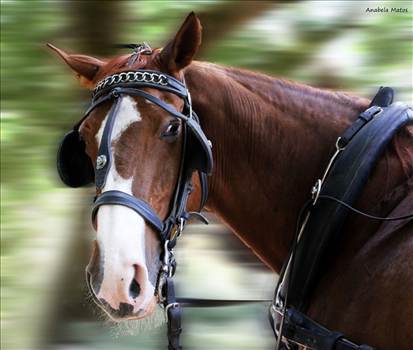 2015-08-22-23-22-13.jpg - 