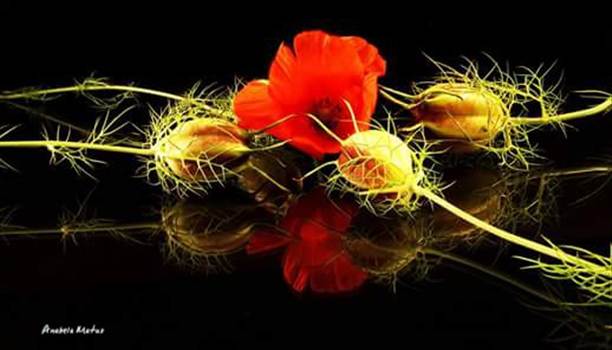 2015-11-20-23-51-23.jpg - undefined