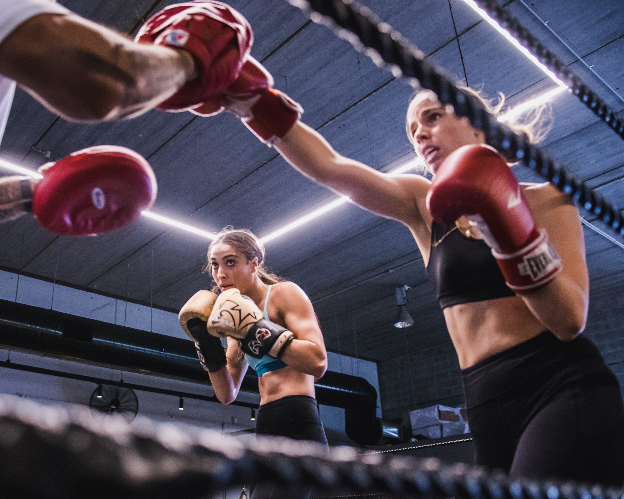 Boxing Classes Melbourne.jpg  by TributeBoxing